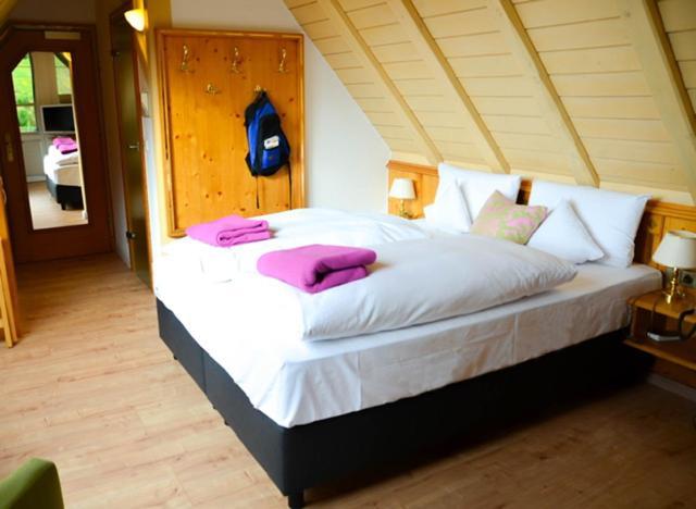 Naturparkhotel Adler Wolfach Dış mekan fotoğraf