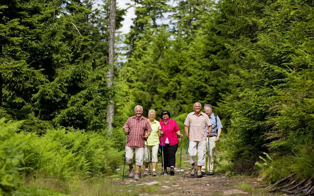 Naturparkhotel Adler Wolfach Dış mekan fotoğraf
