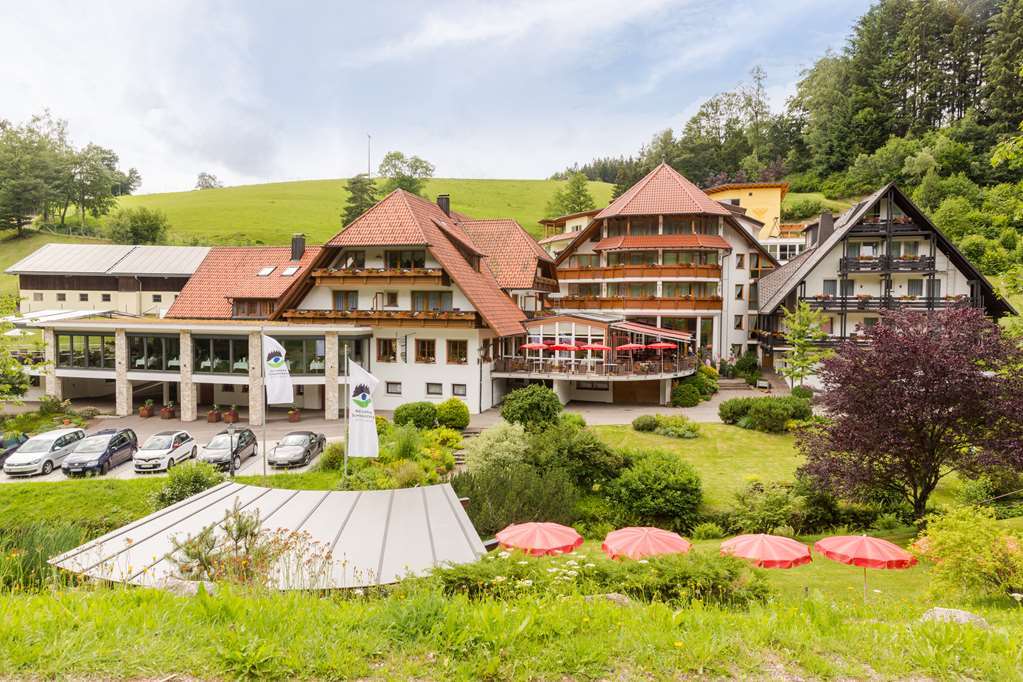 Naturparkhotel Adler Wolfach Dış mekan fotoğraf